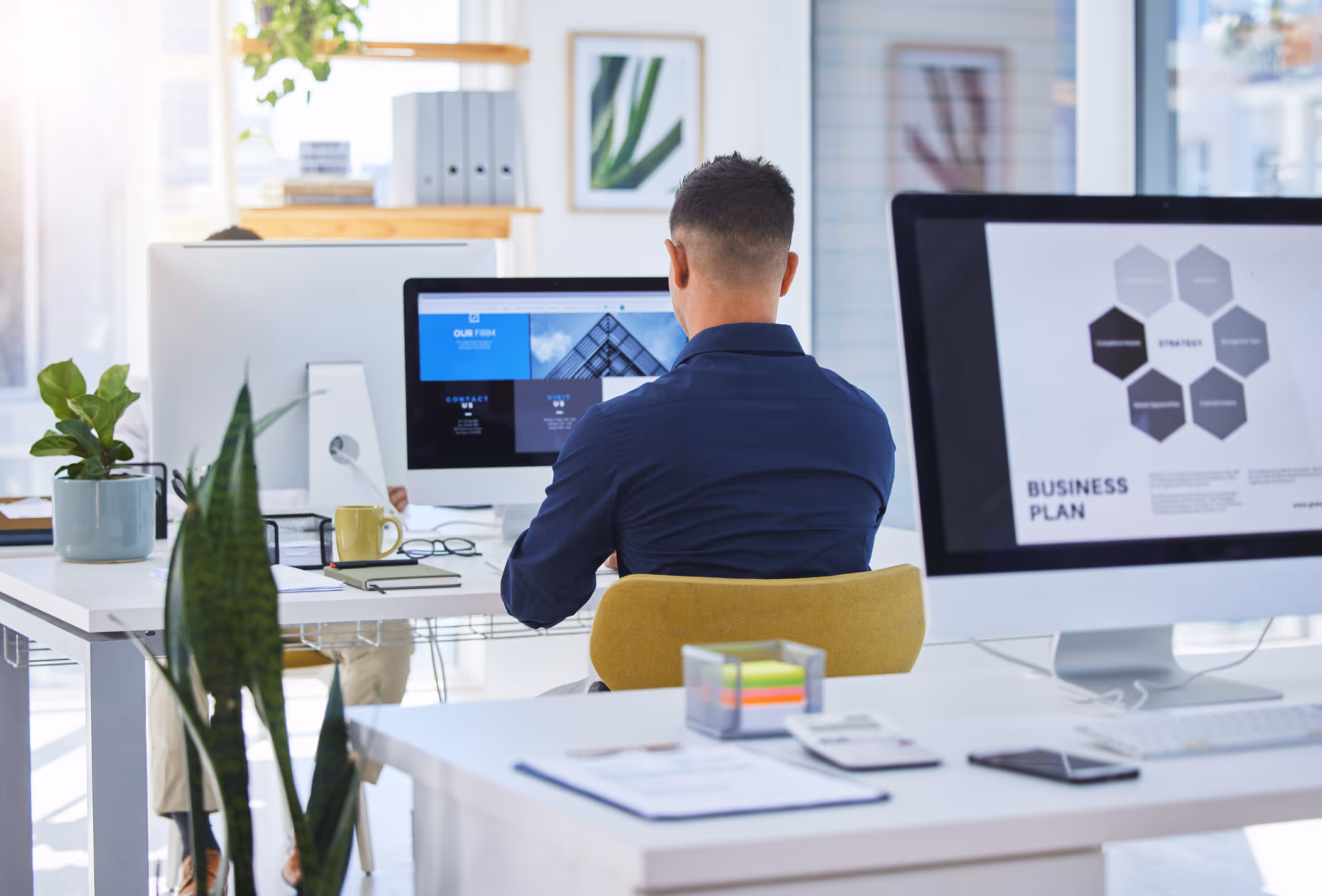 Man in a blue shirt working on a desktop computer in a bright modern office with plants and business plan displayed on another screen.