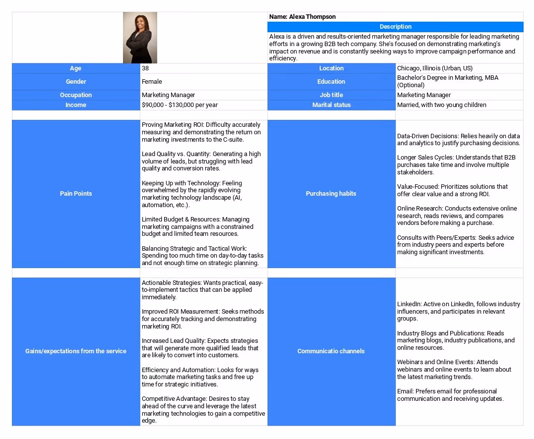 Example of a B2B Buyer Persona for Targeted Marketing.