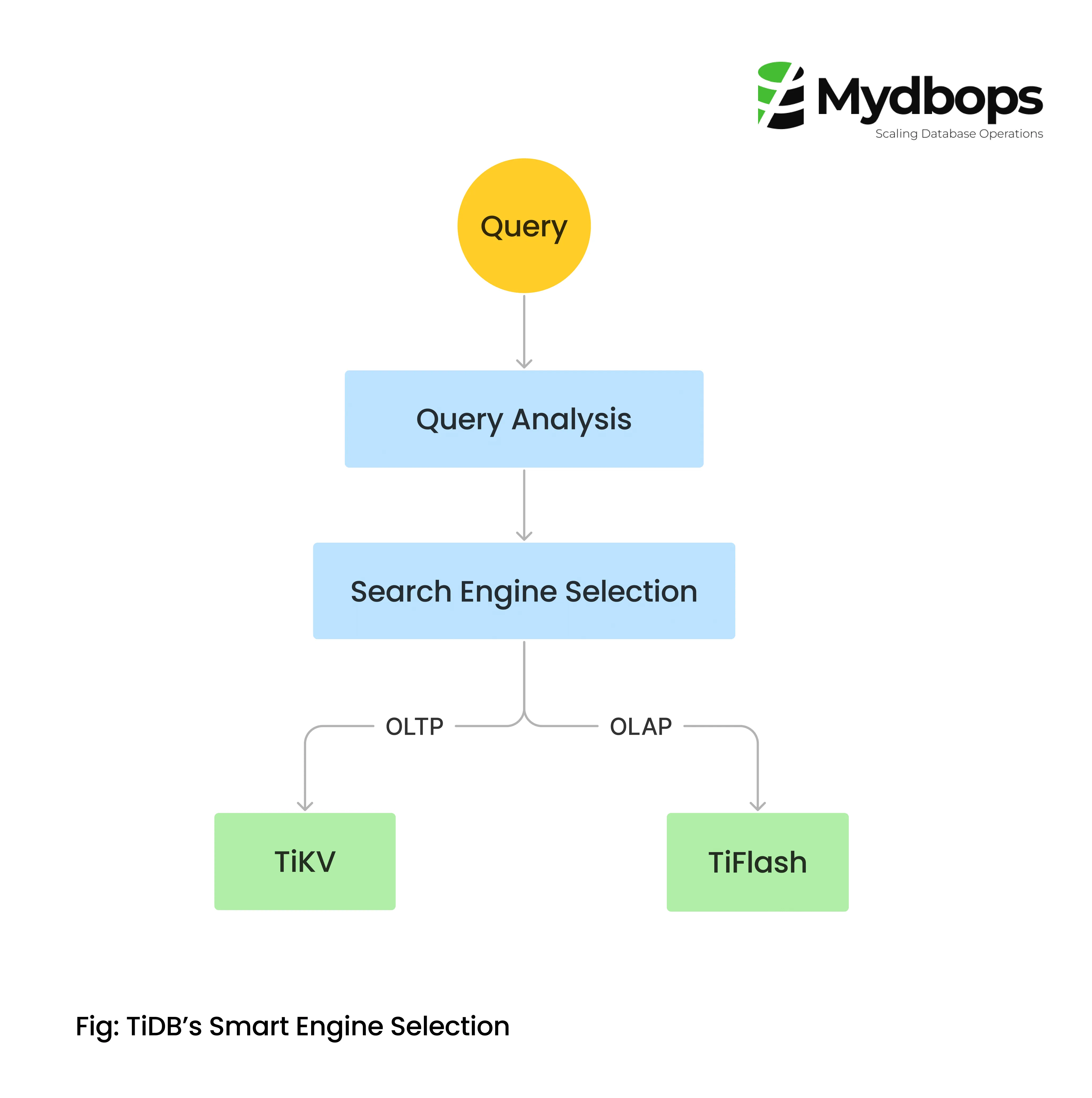 TiDB's Smart Engine Selection