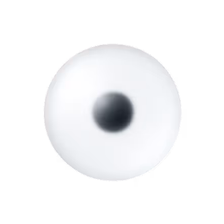 Circular shape with a white outer ring and a smaller black circular center on a black background.