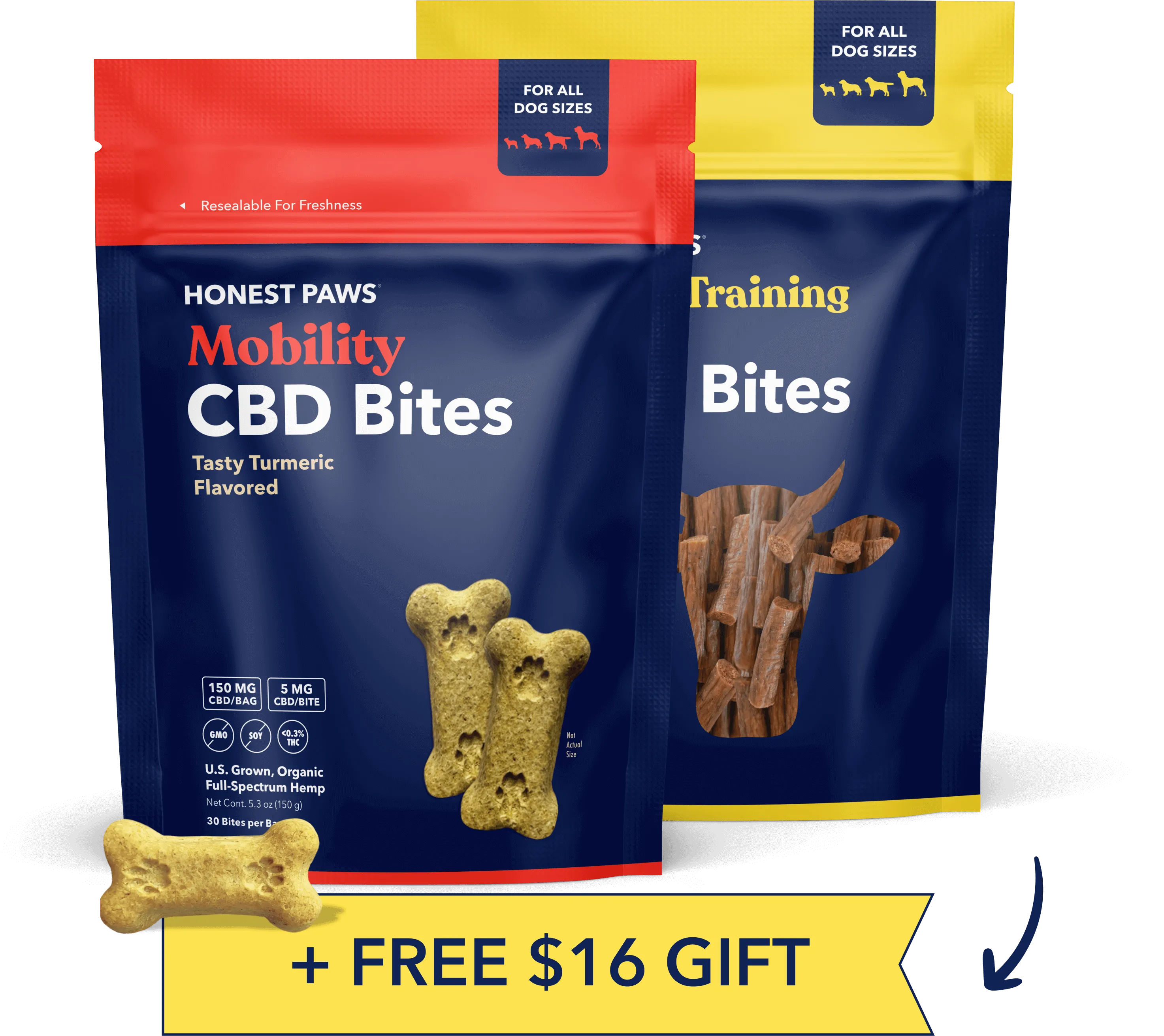 Gentle Cleansing Foam