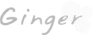 Integration for Every Industry GingerWeb