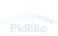 Pidlite Logo