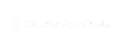 Dr Lal PathLabs Logo