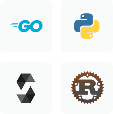 Grid of four programming language logos: Go, Python, Solidity, and Rust.