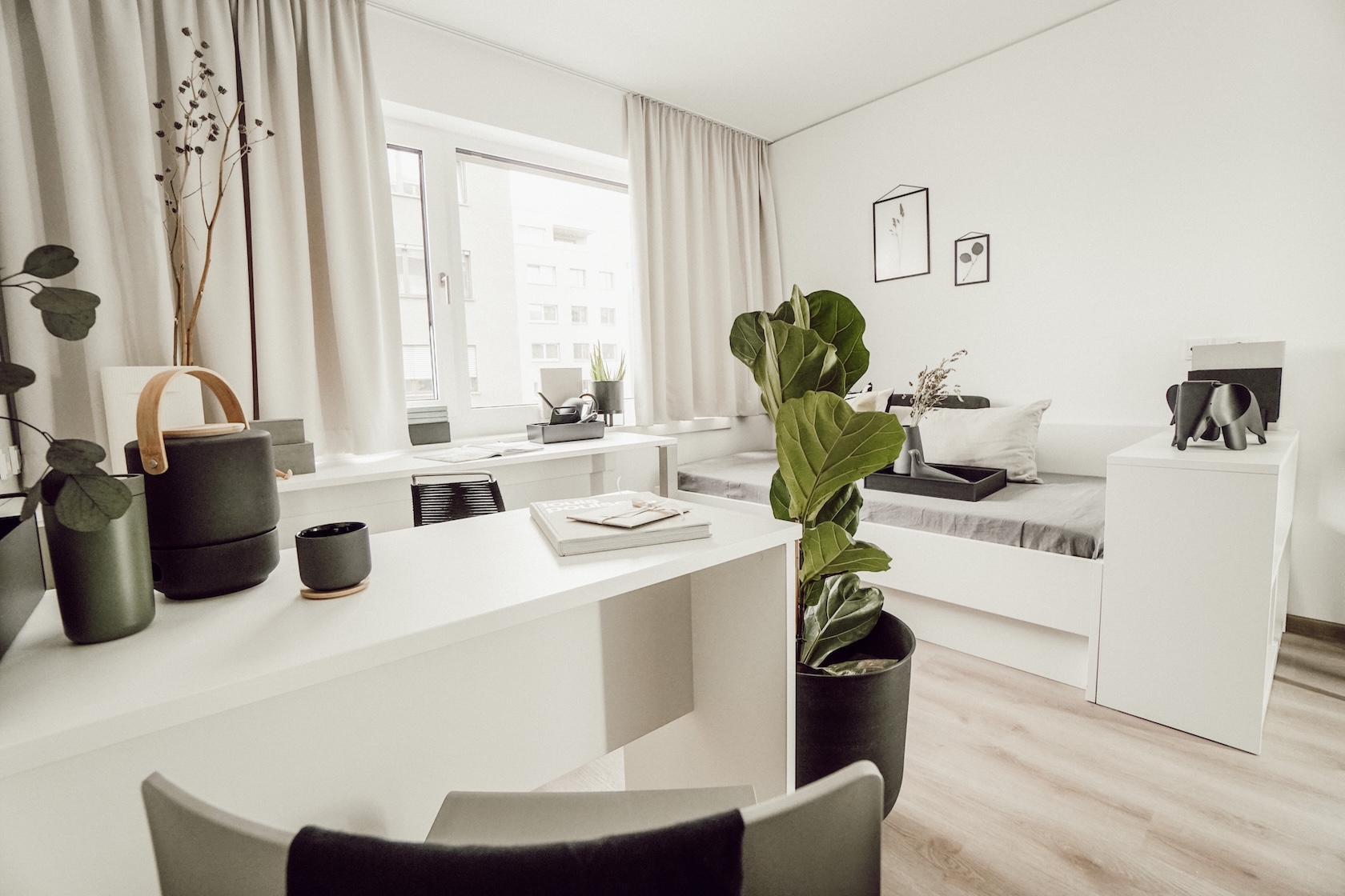 Helles, modernes Studentenapartment mit Schreibtisch, Tagesbett, Pflanzen und Dekorationen.