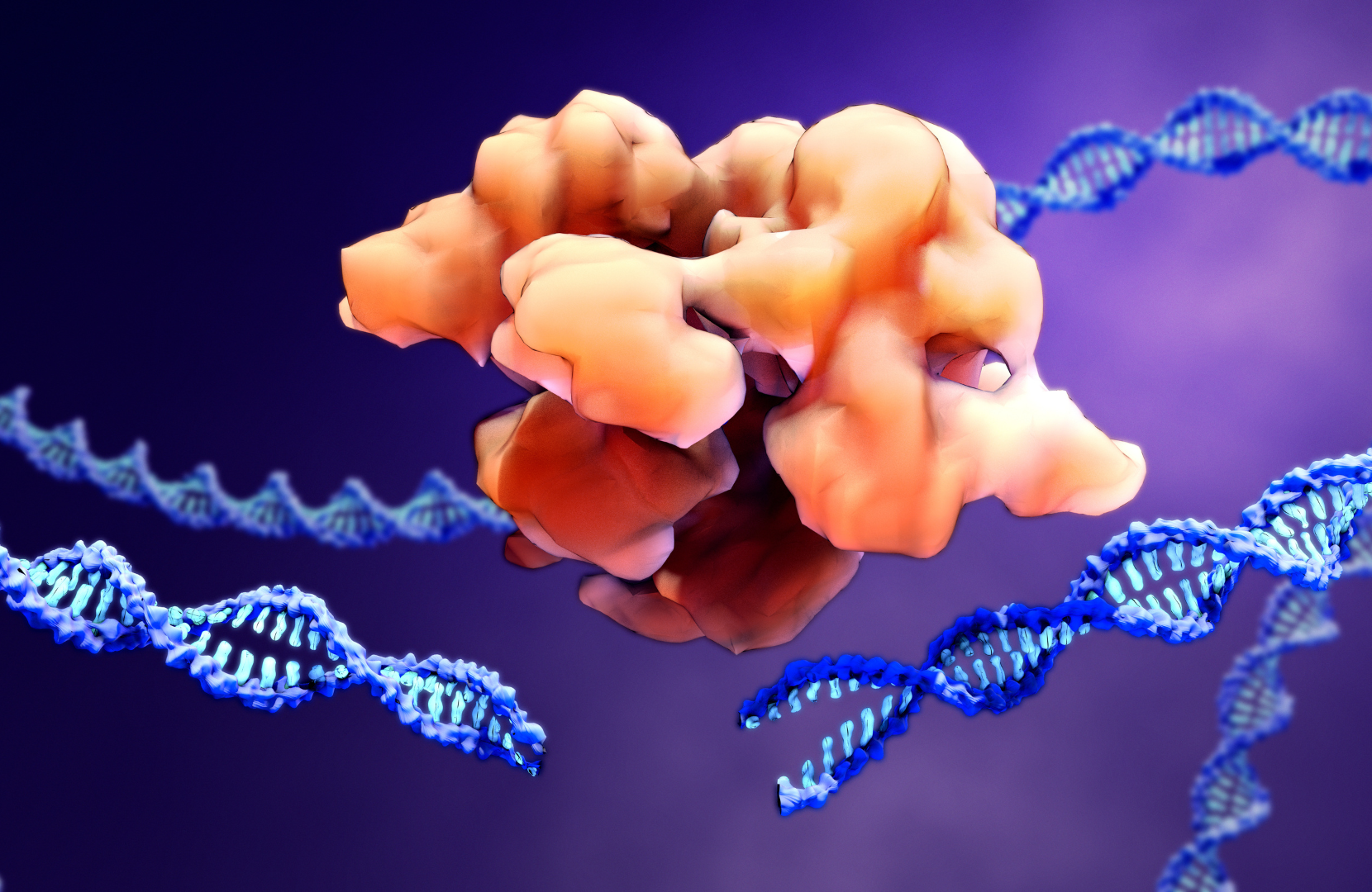 CRISPR - Cas9 proteins recognize and cut foreign pathogenic DNA