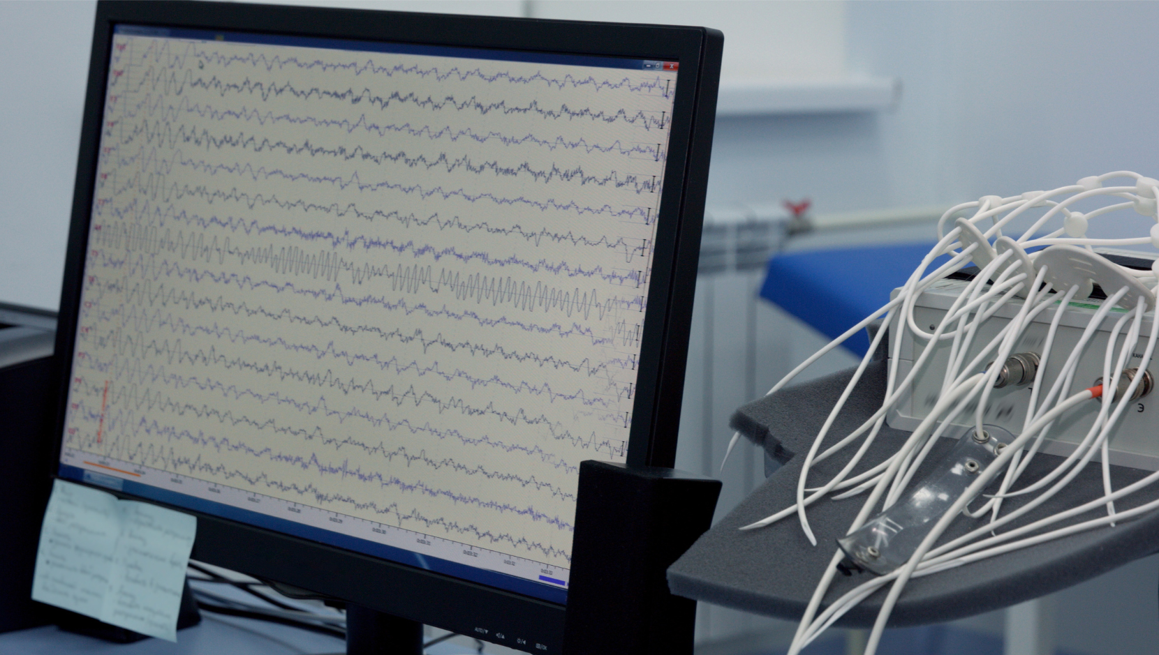 EEG scan on computer monitor 