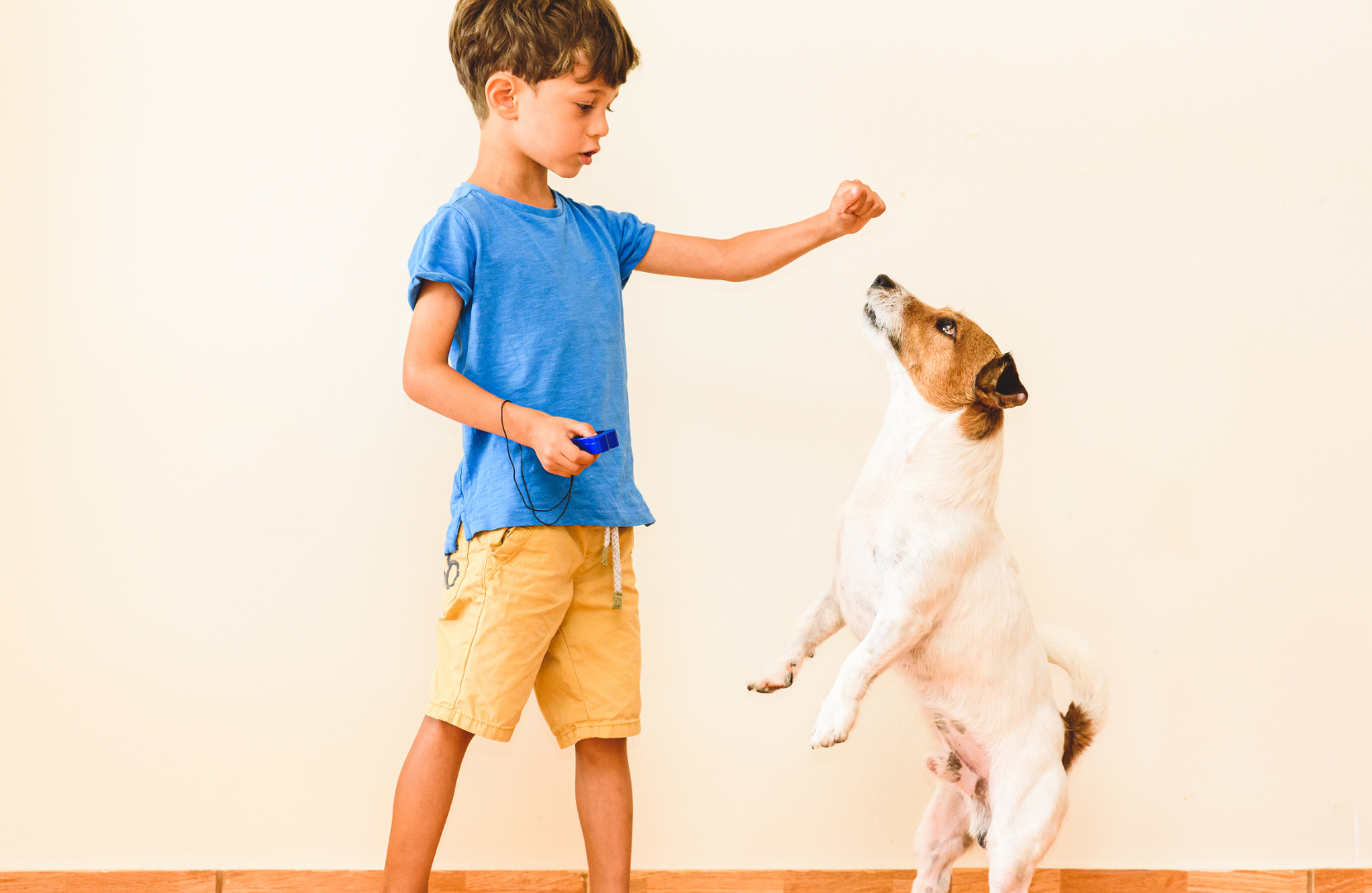 boy teaching a dog tricks 