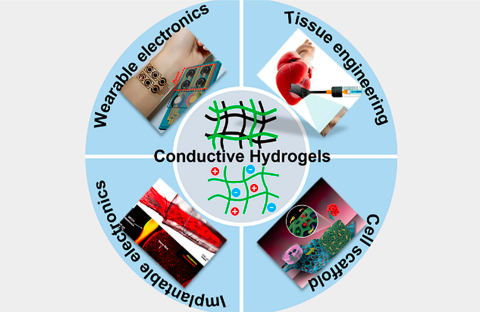 conductive hydrogels applications 