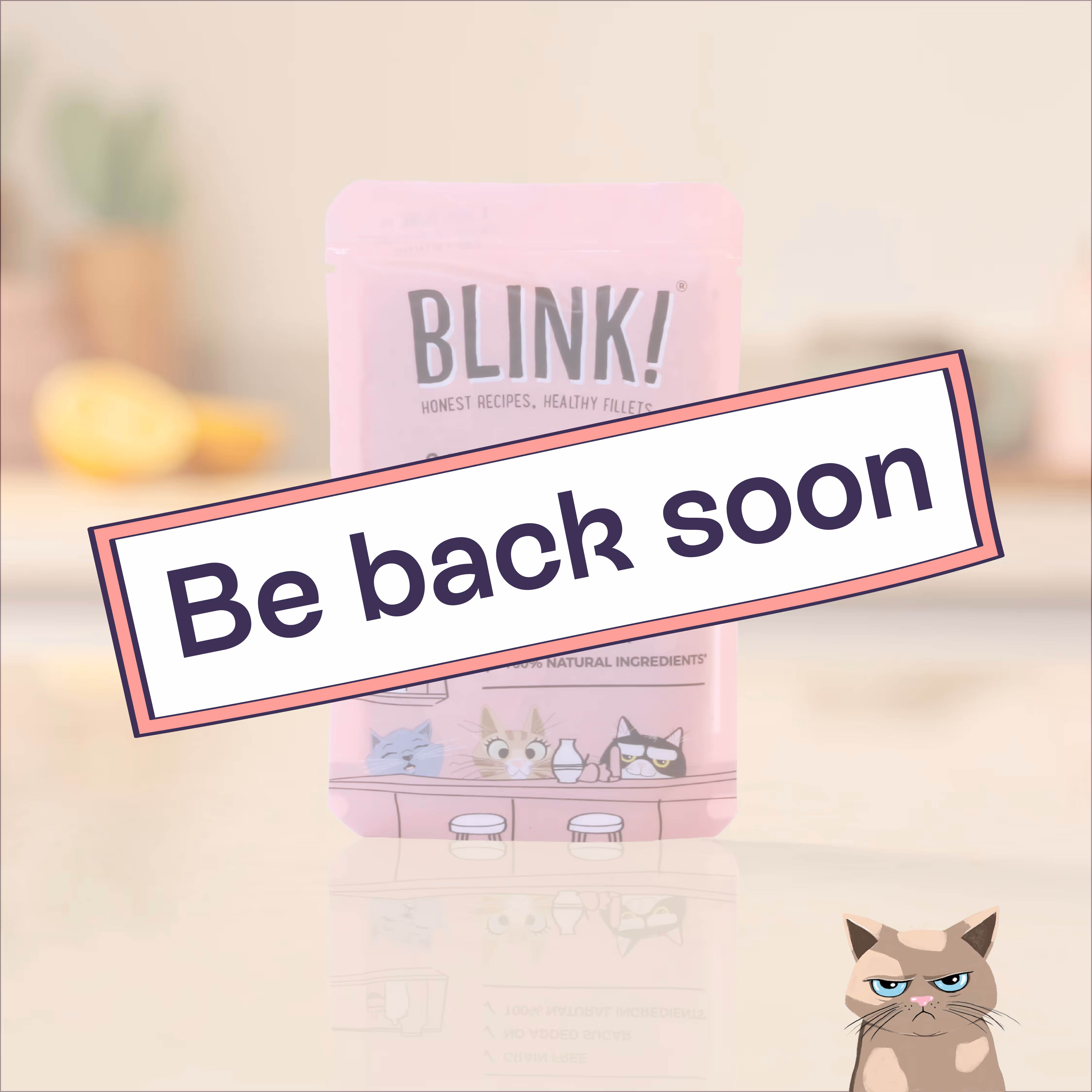 Salmon & Chicken Blink product image