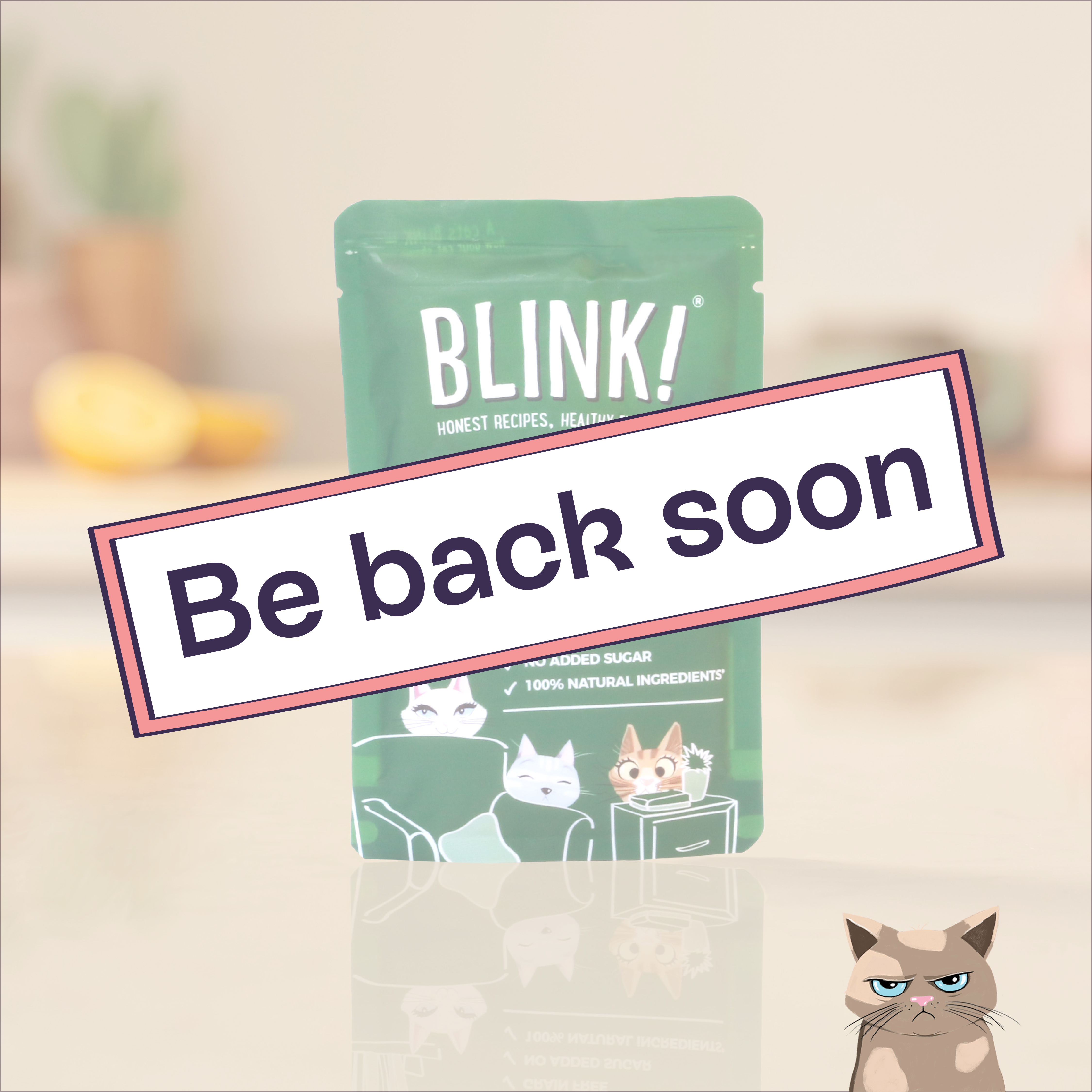 Chicken & Turkey Blink product image