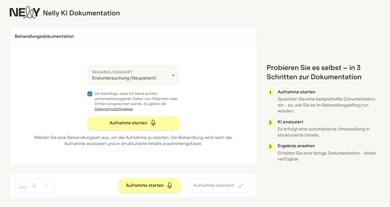 Screenshot der Nelly KI Dokumentation: Benutzeroberfläche zur Behandlungsdokumentation mit Aufnahme-Funktion und 3-Schritte-Anleitung