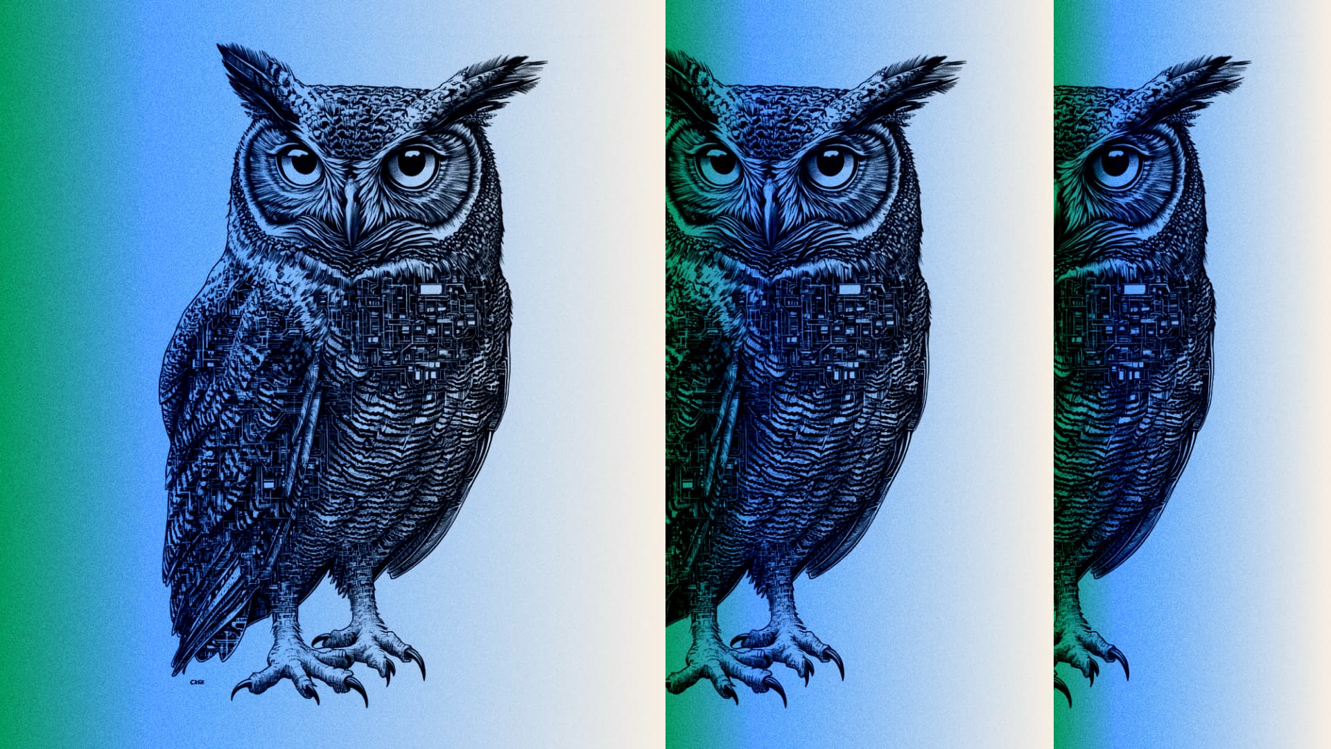 Seeding the Future with CipherOwl