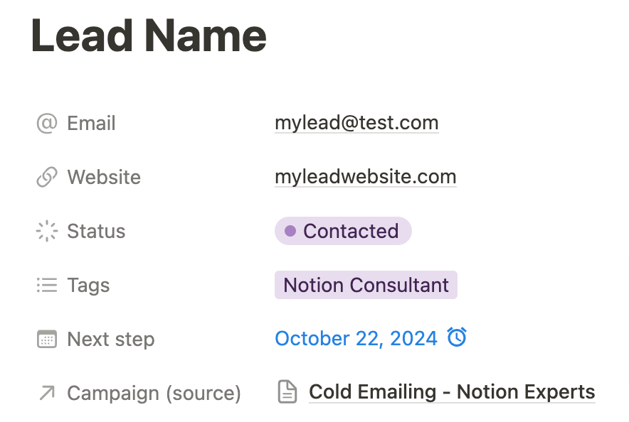 Screenshot of a database item in notion representing a lead.