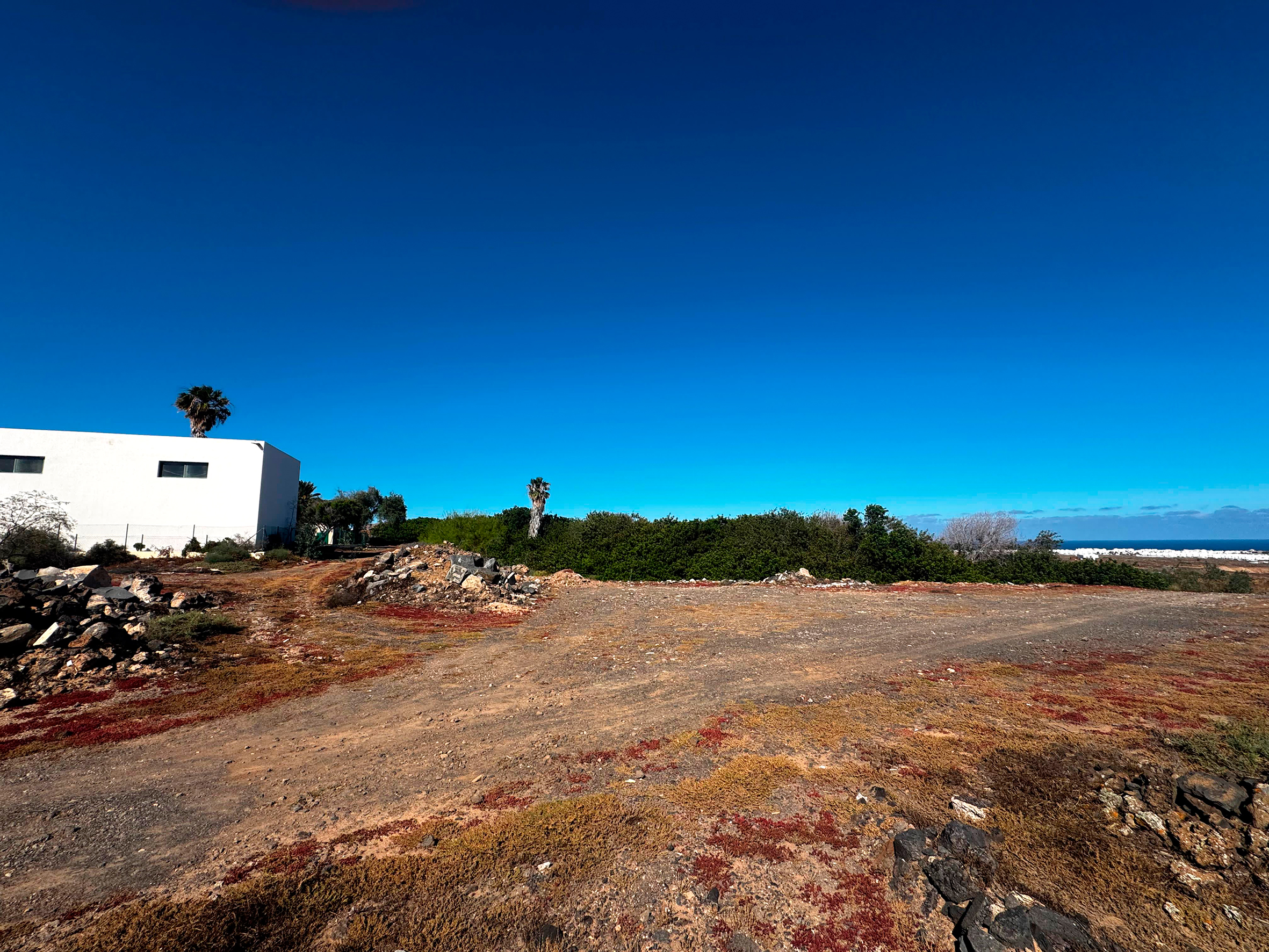Entorno de la depuradora E.D.A.R. Costa Teguise, en Lanzarote, punto de muestreo acústico de quirópteros