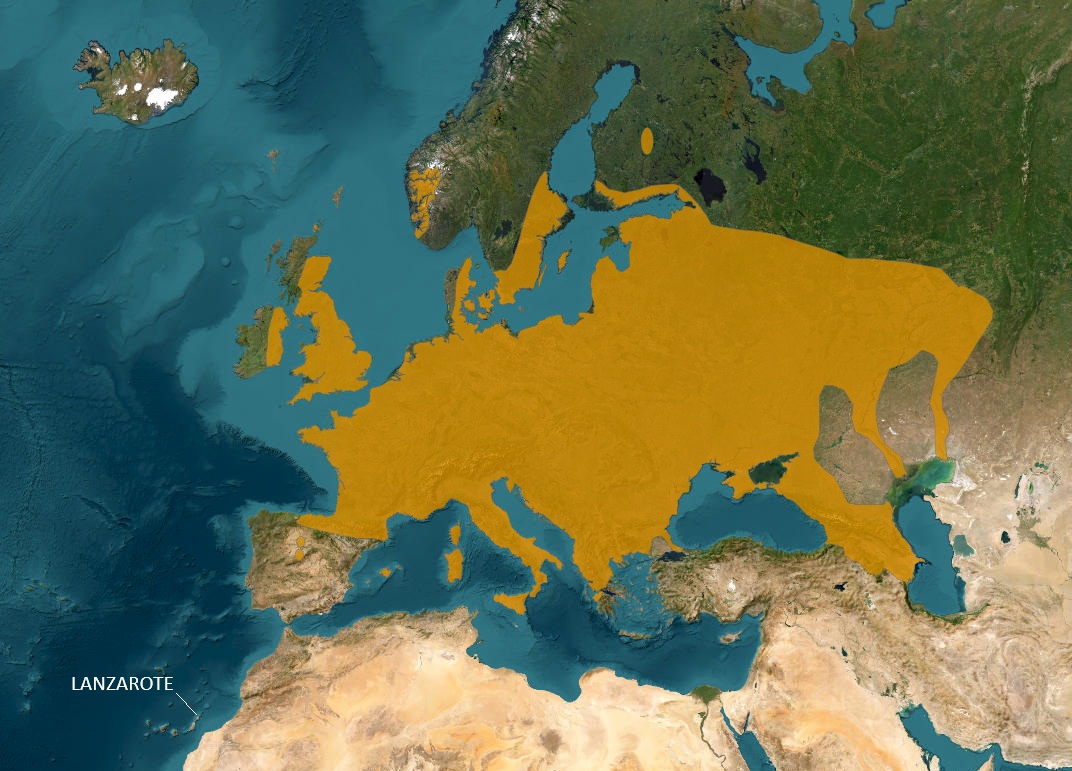 Mapa de distribución global del murciélago de Nathusius (Pipistrellus nathusii) en Europa