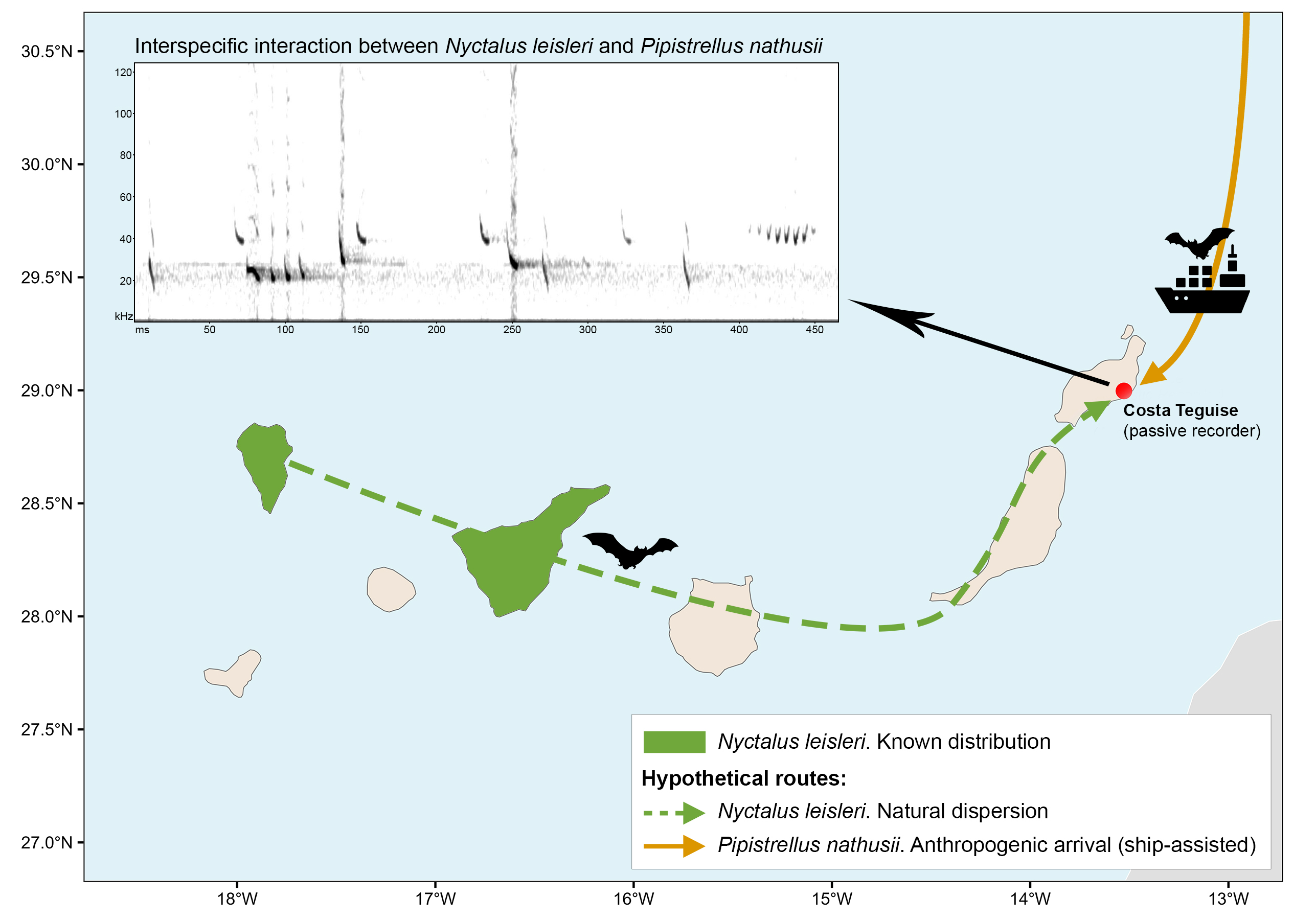 Mapa de rutas migratorias hipotéticas del murciélago de Nathusius y del nóctulo pequeño hacia Lanzarote
