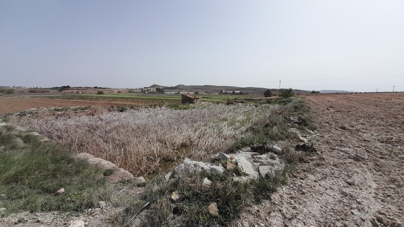 Alberca o balsa donde desaguan los caudales extraídos por la galería