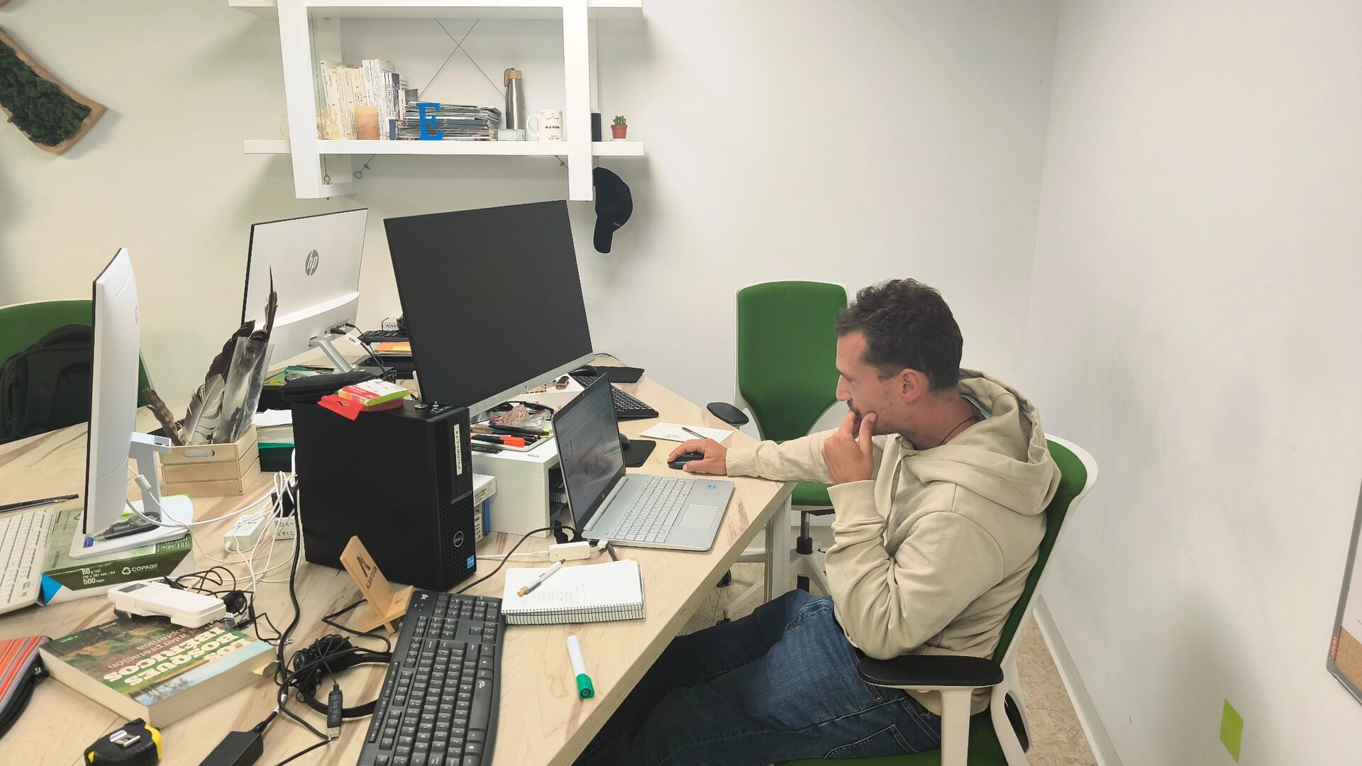 Equipo de Ideas Medioambientales documentando y revisando bibliografía científica sobre el vencejo común