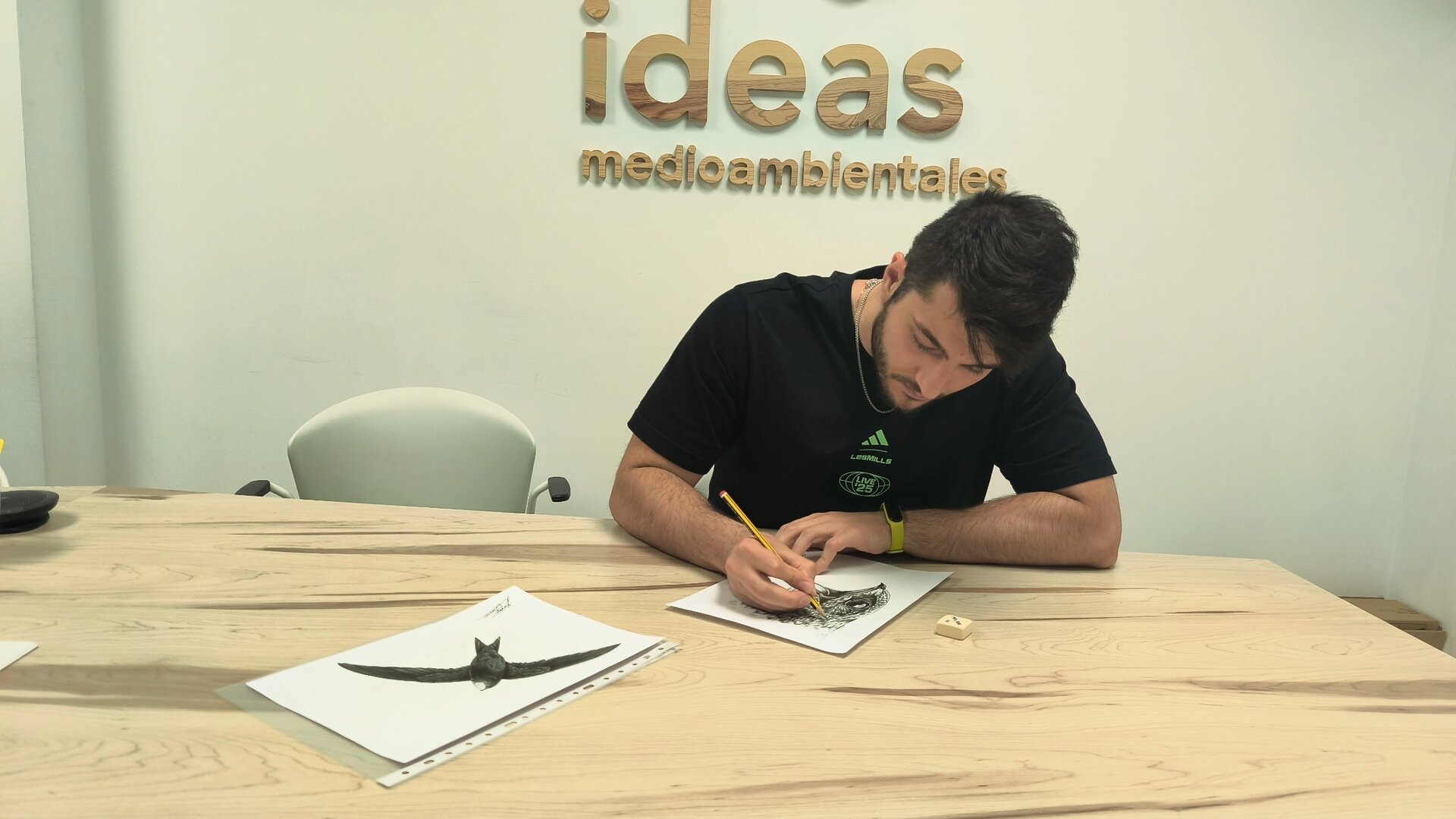 Ilustrador dibujando al vencejo común para el panel científico divulgativo
