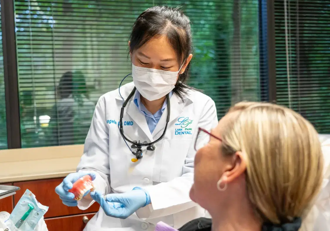Dentist wearing a mask and gloves demonstrating dental care using a model of teeth to a patient.