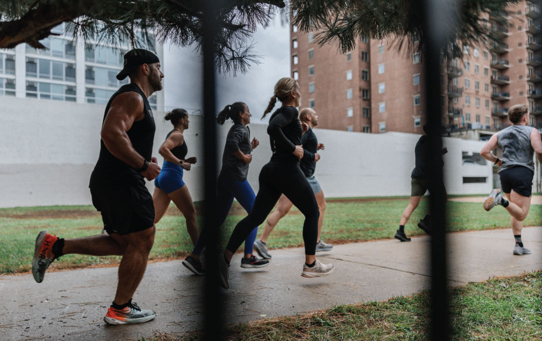 Monthly Newsletter // November 2025