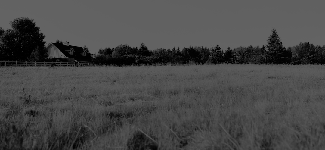 wheat field with a farm house in the distance 