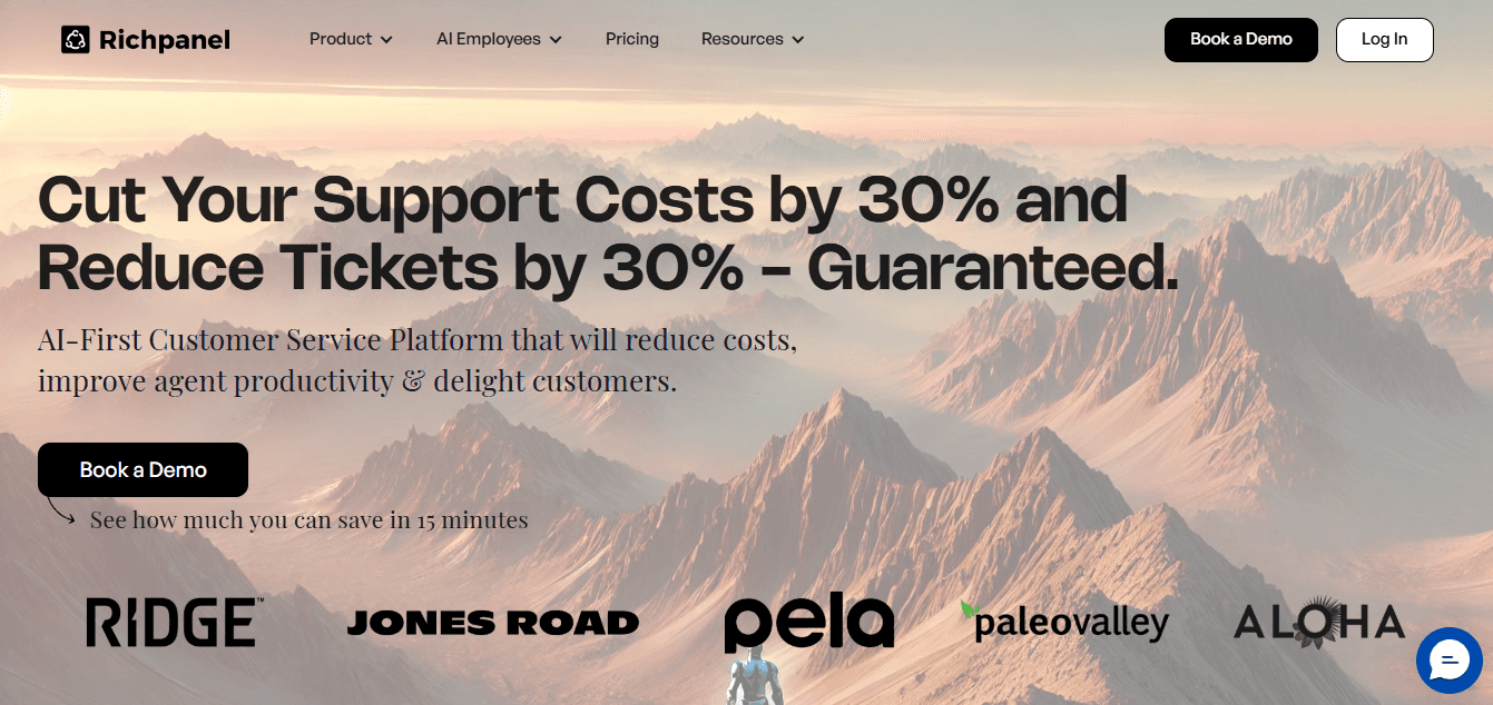 Richpanel: Good for eCommerce Businesses  