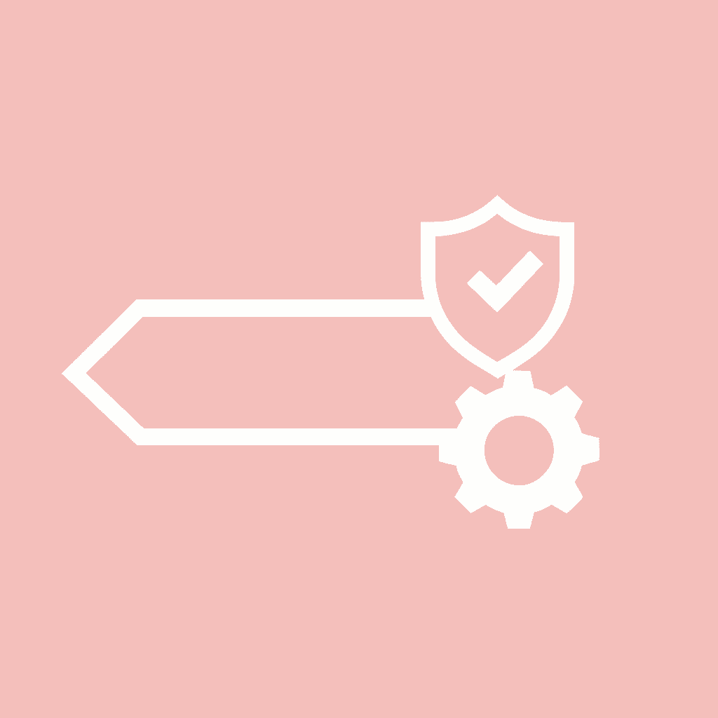 Split path diagram showing two different solution paths based on team priorities