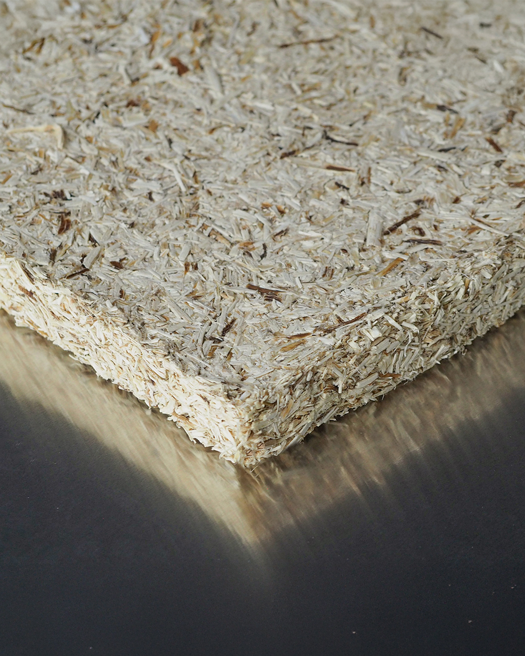Innovative bio-based materials with diverse textures and compositions, promoting circular construction and zero-waste solutions.