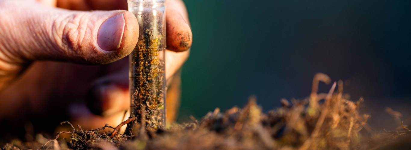 Geotecnia ambiental: manejo de suelos contaminados y su relación con las cimentaciones