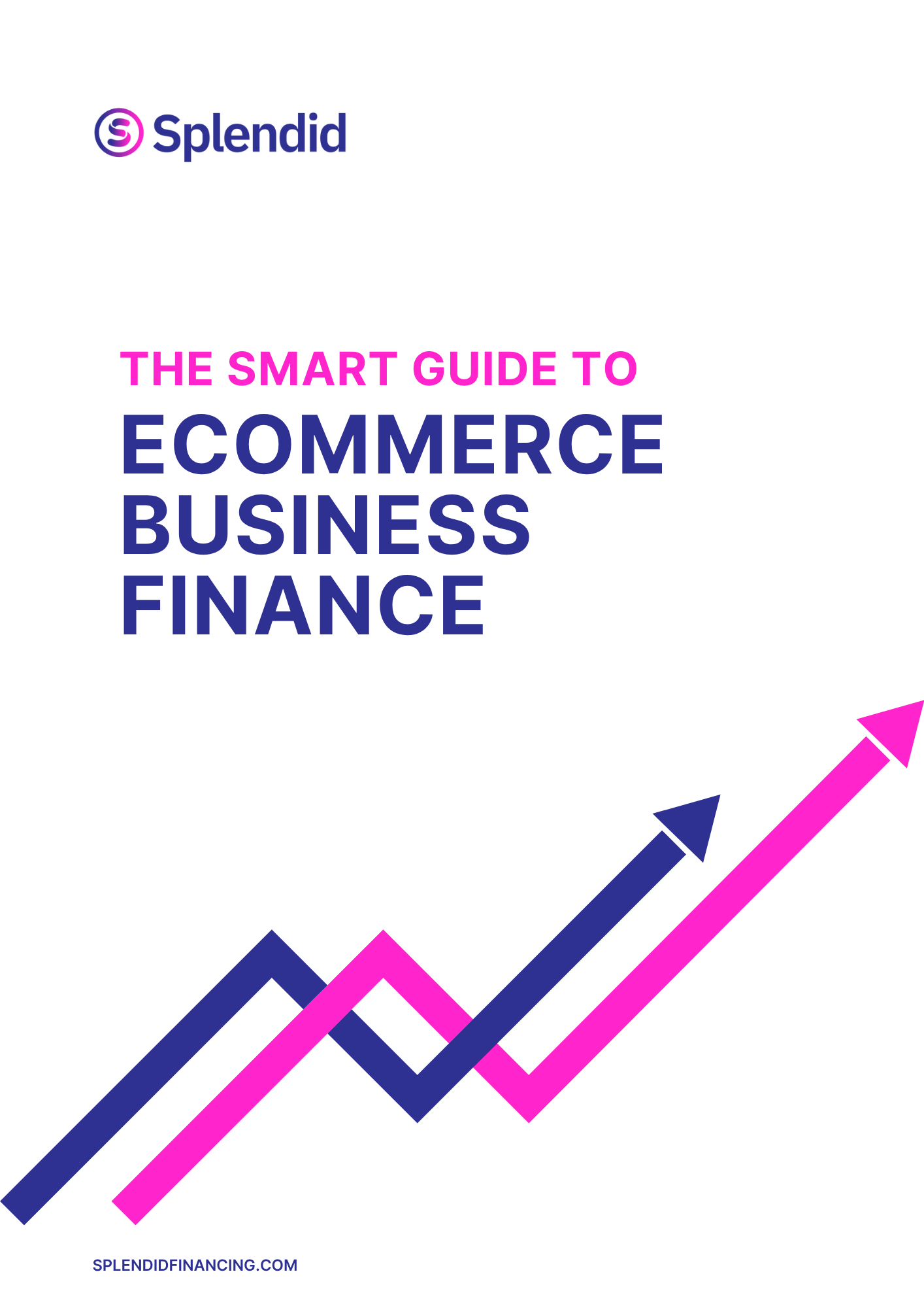 The Smart Ecommerce Owner's Guide to Business Finance - Save $50,000+