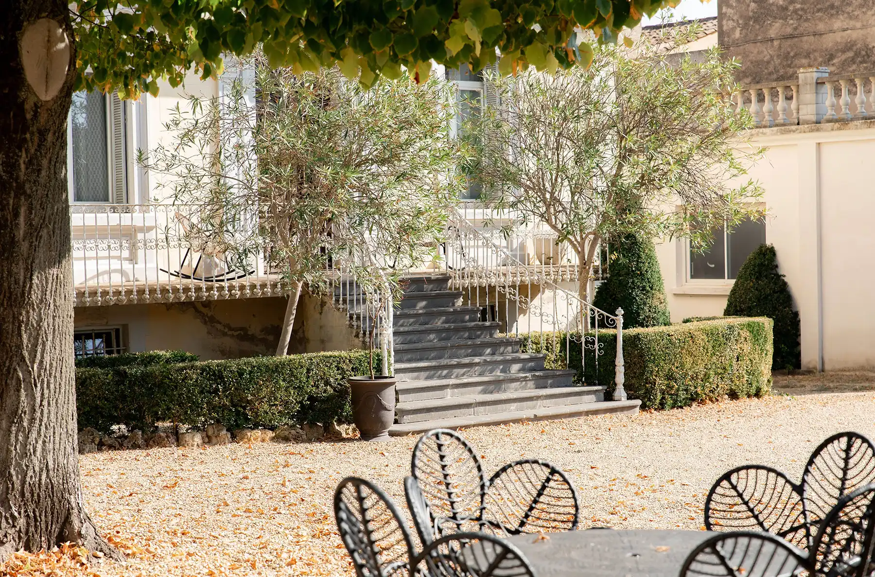 Terrasse Suite de la Remise vue jardin Magalas