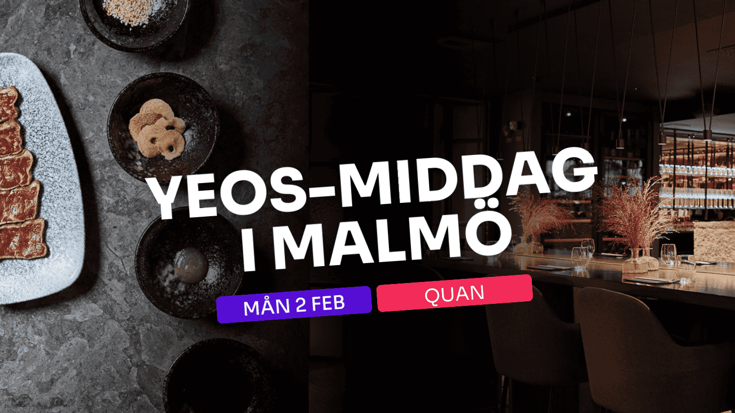 YEoS-middag i Malmö