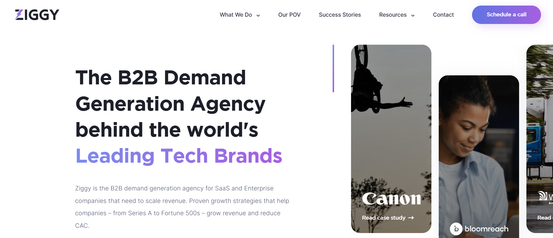 Screenshot of Ziggy homepage