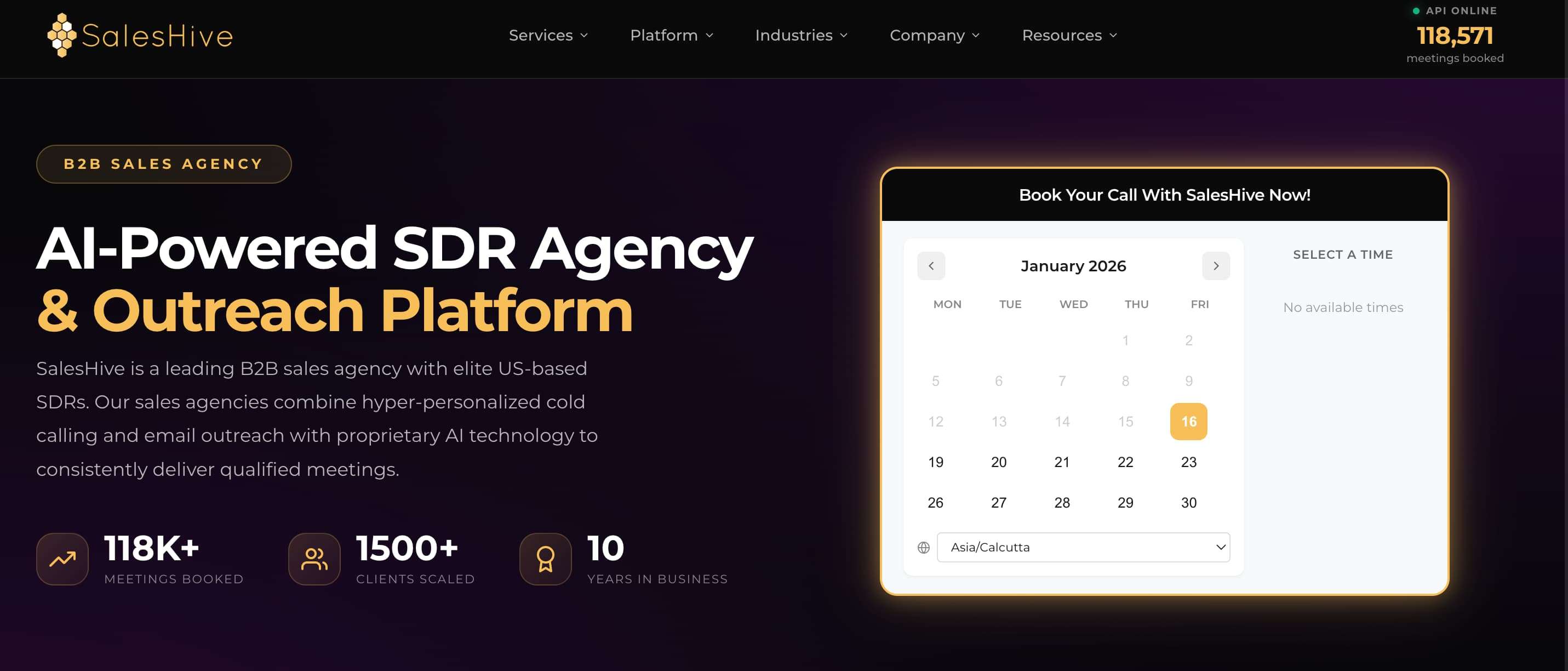 Screenshot of saleshive homepage