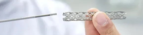 Vascular Stent