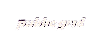 Publicgrid | Blnk Customer