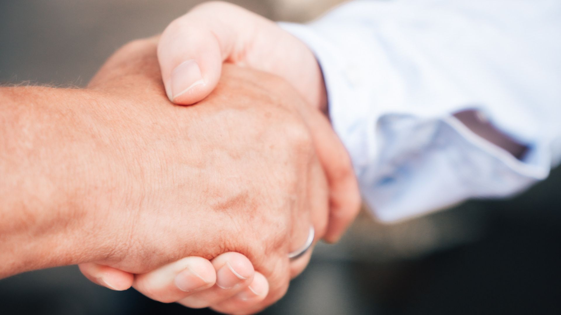 Zwei Personen geben sich die Hand als Zeichen einer Vereinbarung oder Partnerschaft