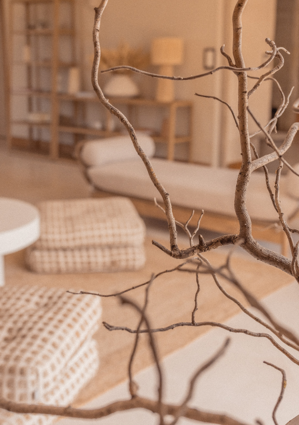 Birthday salon on a Provencal estate, ideal for an intimate celebration
