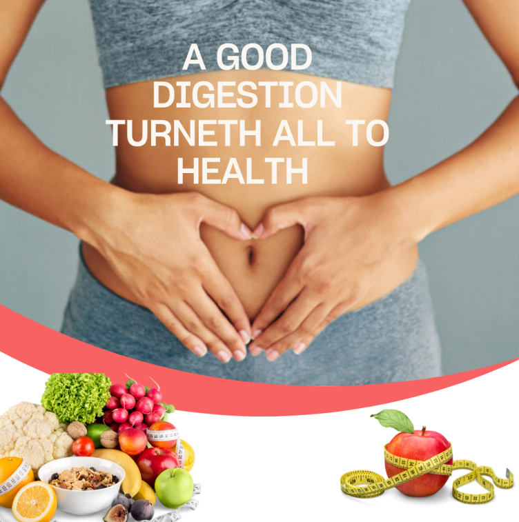 The Science Behind Gut Health and Probiotics