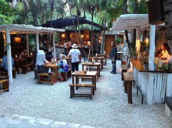 hartwood tulum
