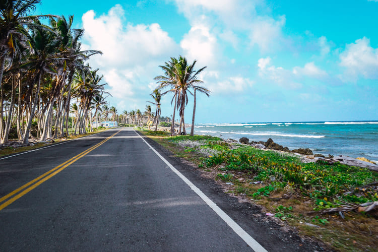 A coastal road lined with palm trees runs beside the sea under a bright blue sky, inviting travelers to enjoy a scenic drive and discover beachside routes with the freedom of a rental car from Avant