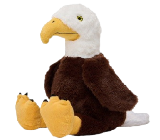 Summer 2026 Collection