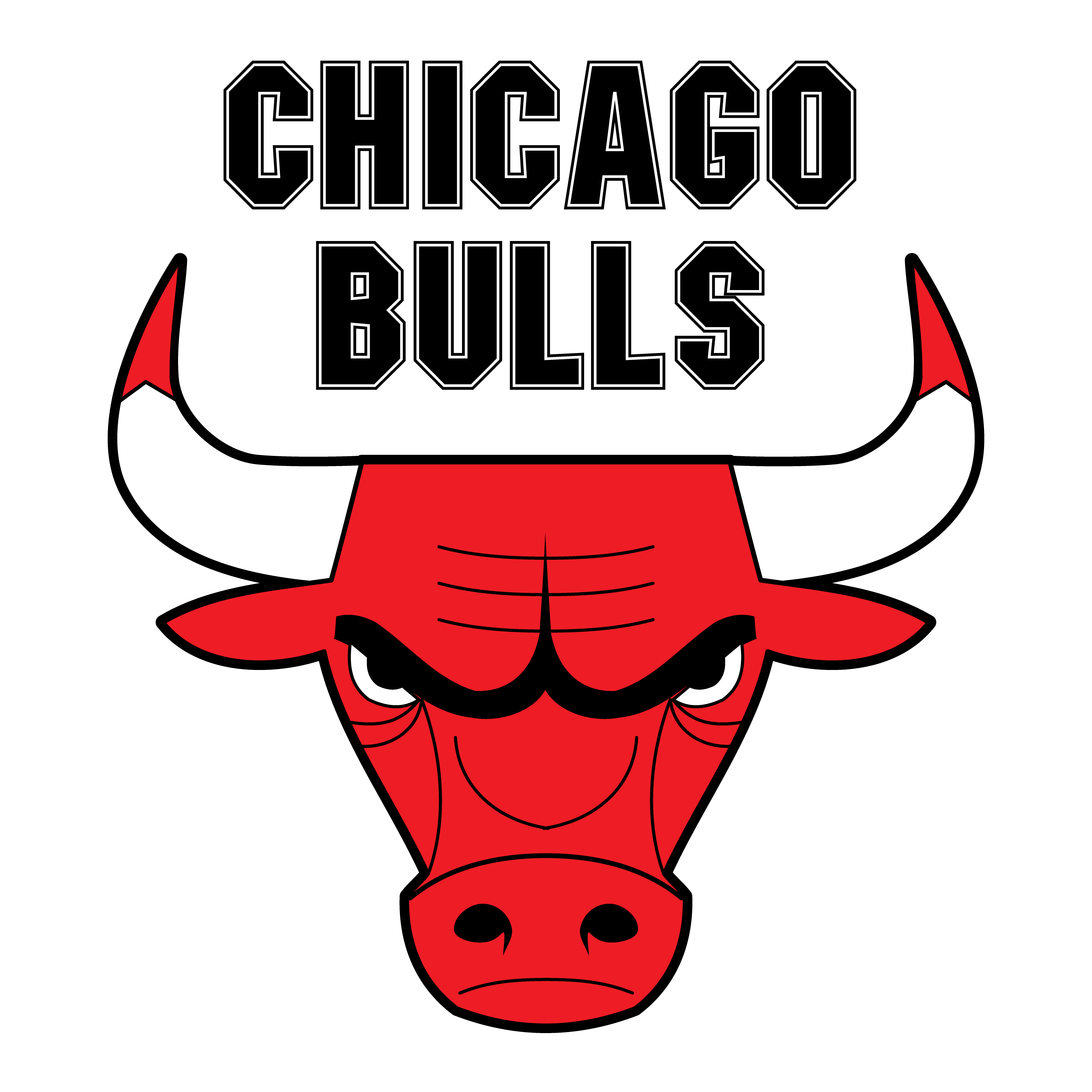 Chicago Bulls