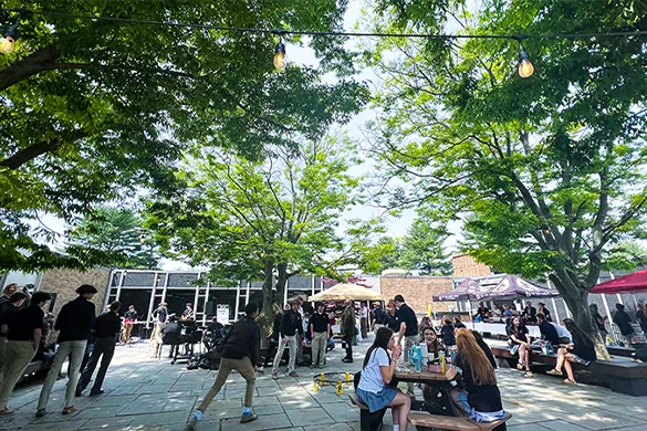 People socializing and playing games under large trees with string lights in an outdoor courtyard on a sunny day.