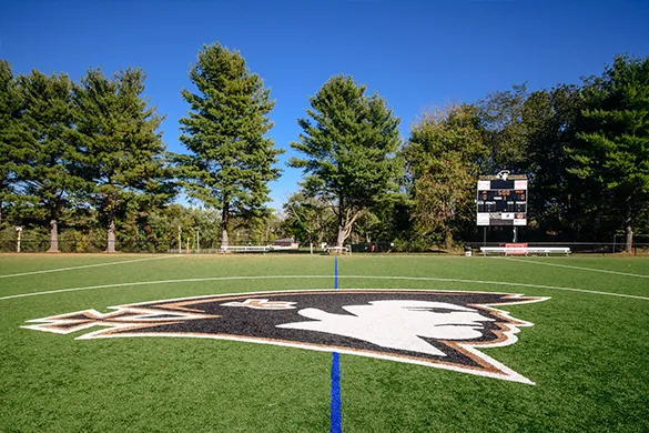 A sports field with a large black and white bird mascot logo at center field, surrounded by green artificial turf and tall pine trees under a clear blue sky.
