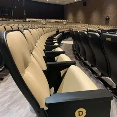 Rows of beige and black theater seats labeled with row D in a dimly lit auditorium.