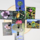 display of flower essence cards and flower essence bottles on Metatron's cube